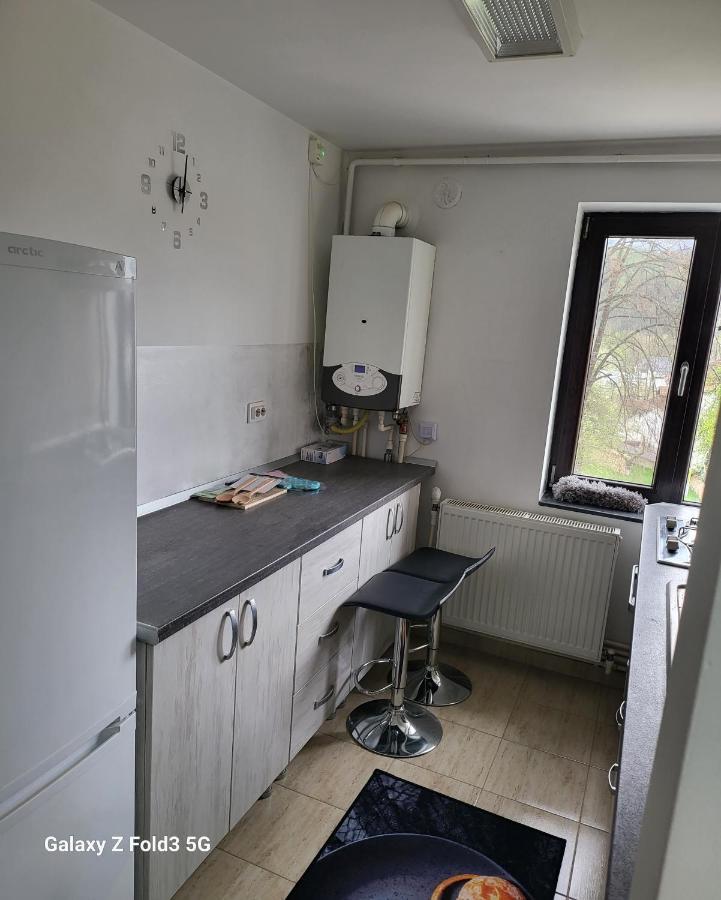 Apartament In Bucovina, Campulung Moldovenesc, Impecabil . Appartement Buitenkant foto