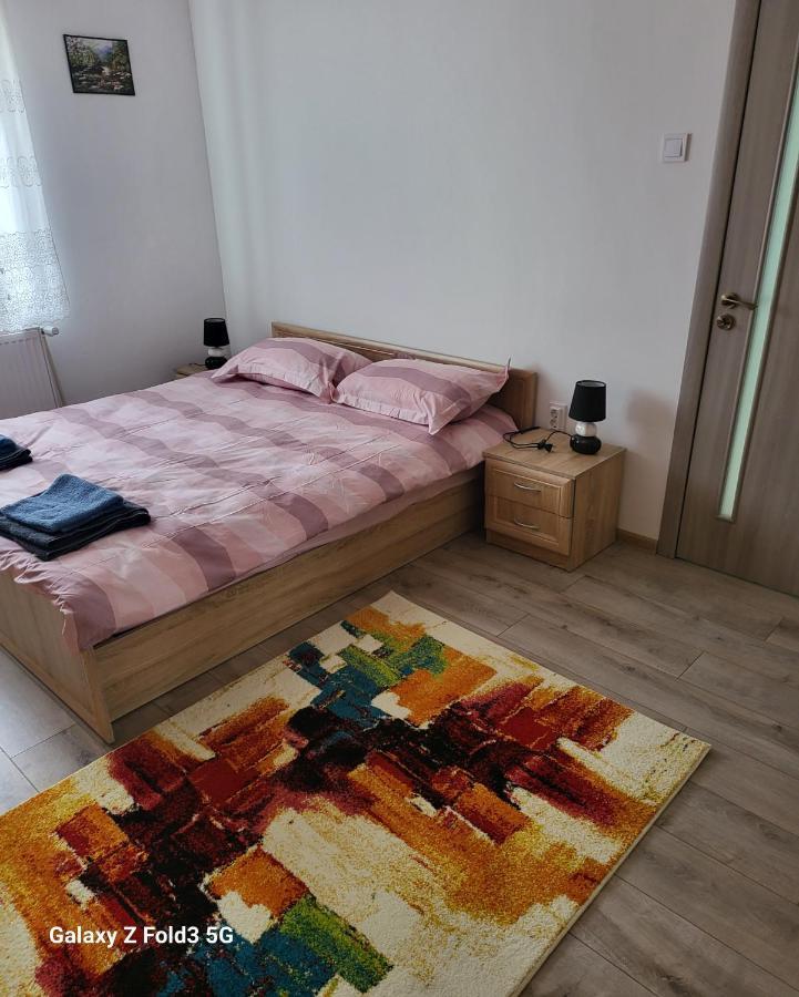Apartament In Bucovina, Campulung Moldovenesc, Impecabil . Appartement Buitenkant foto