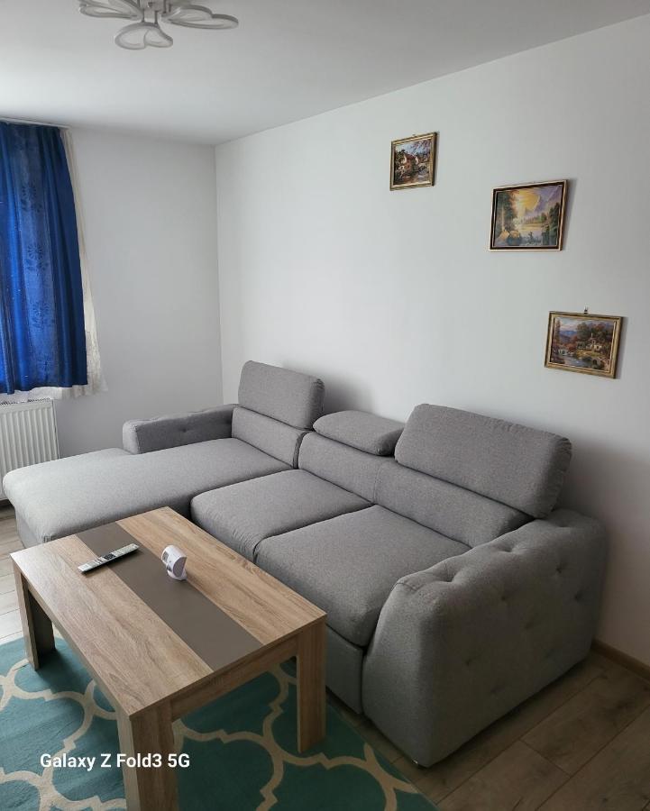 Apartament In Bucovina, Campulung Moldovenesc, Impecabil . Appartement Buitenkant foto